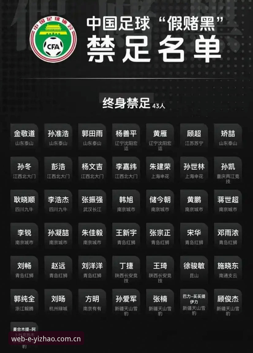 2026亿兆体育app在哪下载 资深球迷深度解读足协第三批禁足名单,从亿兆体育看中国足球净化之路